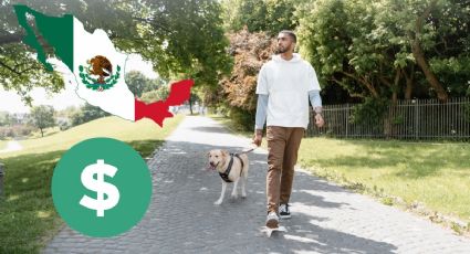 ¿Cuánto gana un paseador de perros en México en 2025? Este es su SUELDO mensual