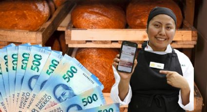 Lanzan nuevo programa social con PAGO de 8,500 pesos para mayores de 30 años | REQUISITOS