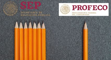 Profeco revela los mejores bolígrafos y lápices para el regreso a clases; buenos y baratos