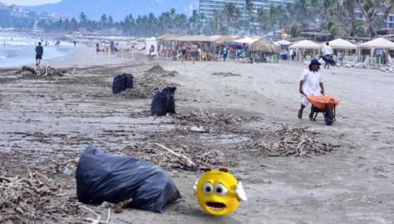 Científicos descubren dos NUEVAS estaciones en la Tierra; ¿cuáles son?