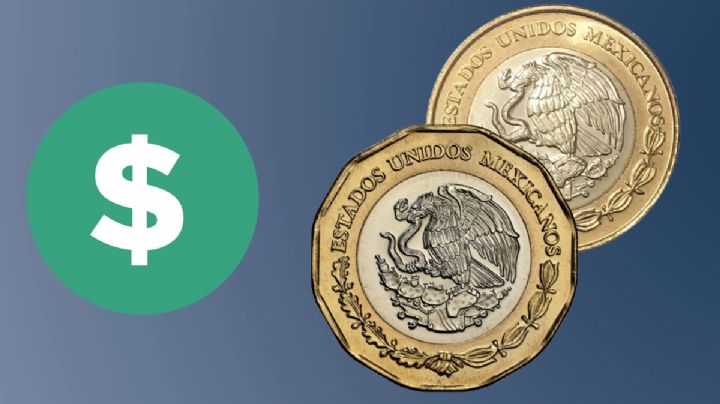 ¿Cuántas monedas de 20 pesos hay diferentes hasta agosto 2025 y cuáles valen más?