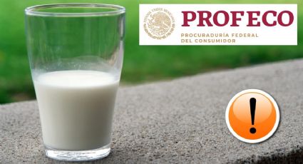 Buenas y baratas, estas son las leches ultrapasteurizadas que tienen la aprobación de Profeco