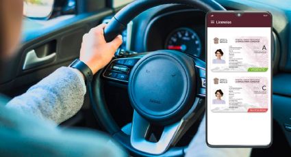 Licencia Digital Edomex: ¿Cómo tramitar el documento desde tu celular Android o iOS?