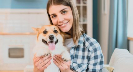 Ley de Vivienda: Prohiben que propietarios nieguen renta de departamento a personas con mascotas titulo