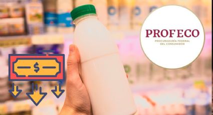 Profeco revela las marcas de leche enteras más baratas y saludables que puedes comprar en septiembre