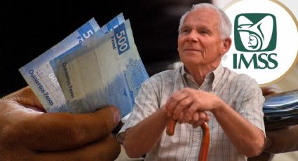 Pensión IMSS: ¿Cuánto dinero cobrarán los pensionados de aguinaldo en noviembre 2025?