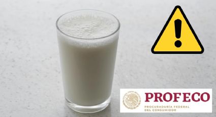 Esta popular marca se vende como leche de vaca pero es una imitación según Profeco
