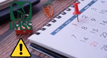 Pensión IMSS: ¿En qué fecha de 2025 desaparecerá para los pensionados la Ley 73?