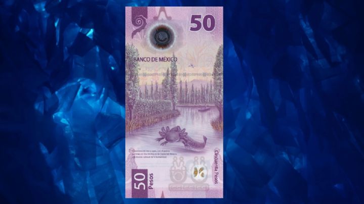 ¿Cuáles son los elementos que vuelven muy caro un billete de 50 pesos?