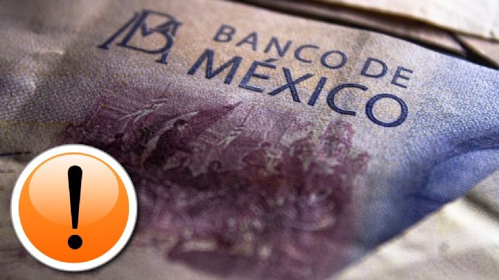 ¿Cómo puedo conservar en perfecto estado los nuevos billetes conmemorativos de Banxico?