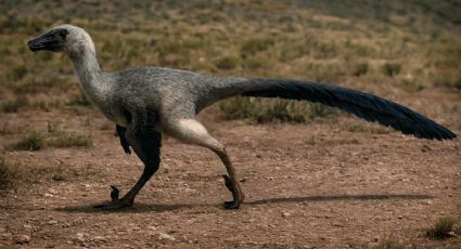 Descubren nueva especie de dinosaurio en Coahuila; vivió hace 74 millones de años