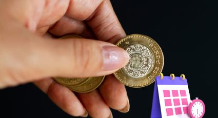 ¿A partir de cuándo estarán en circulación las nuevas monedas de 10 y 20 pesos?