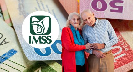 Pensión IMSS: el verdadero motivo por el que no habrá pagos el 1 de febrero