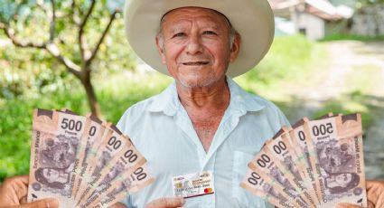 Pensión Bienestar: ¿habrá pagos en febrero? Esto sabemos