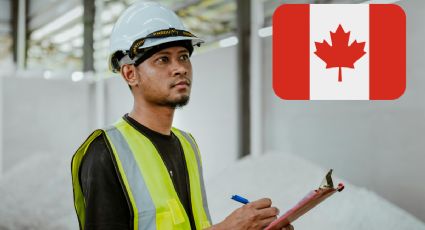 Canadá ofrece trabajo permanente a mexicanos sin estudios; paga sueldo de 45,000 pesos al mes