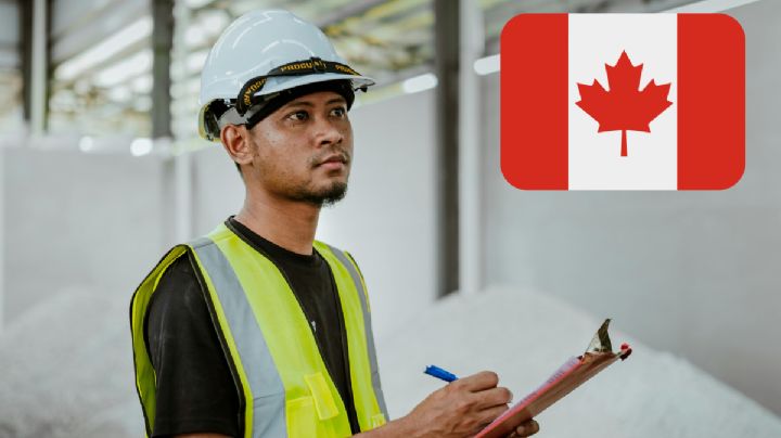 Canadá ofrece trabajo permanente a mexicanos sin estudios; paga sueldo de 45,000 pesos al mes