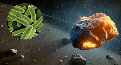 3I/ATLAS despierta misteriosa teoría: ¿transporta vida extraterrestre?