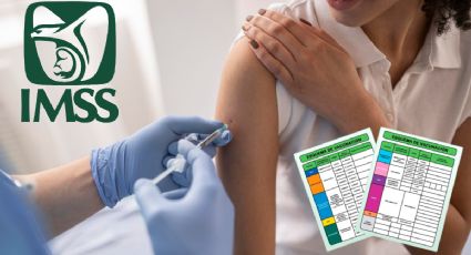IMSS: así puedes recuperar tu cartilla de vacunación si la perdiste en 2026