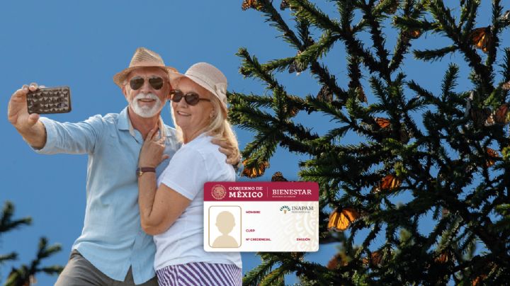 El tour al Santuario de la Mariposa Monarca en Michoacán con descuento INAPAM incluido