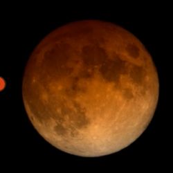 Eclipse Total Lunar de marzo: ¿cuándo es y dónde se podrá ver?