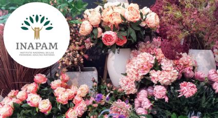 Florerías de Edomex que dan descuento a adultos mayores con credencial INAPAM en febrero