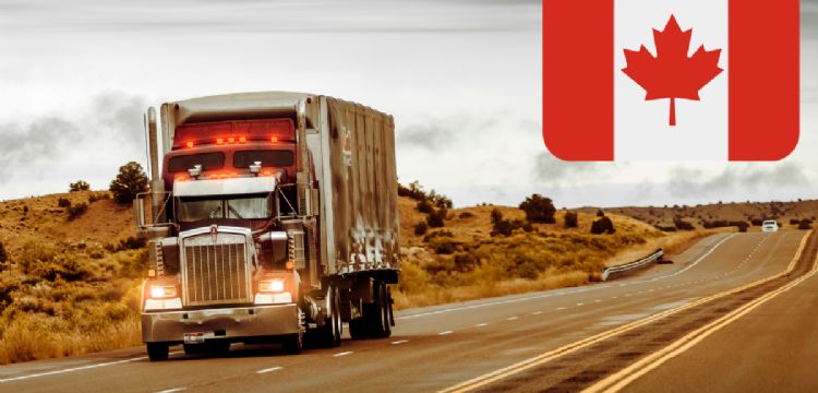 Canadá lanza empleo para camioneros mexicanos; sueldo mensual de 73 mil pesos