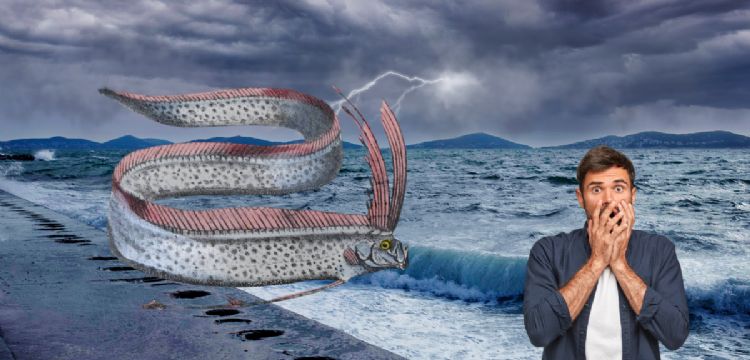 Apocalipsis: ¿Qué significan los peces del juicio final que aparecieron en México?