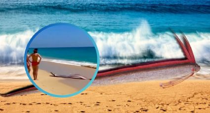 Aparición de pez del fin del mundo en México revive terrible augurio