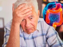 ¿La memoria se pierde en el intestino? El hallazgo médico que sorprende a la ciencia