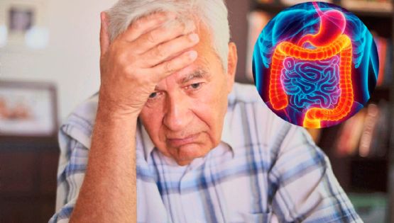 ¿La memoria se pierde en el intestino? El hallazgo médico que sorprende a la ciencia