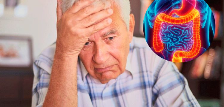 ¿La memoria se pierde en el intestino? El hallazgo médico que sorprende a la ciencia