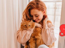 ¿El ronroneo de un gato puede mejorar la salud? Especialistas revelan sus beneficios