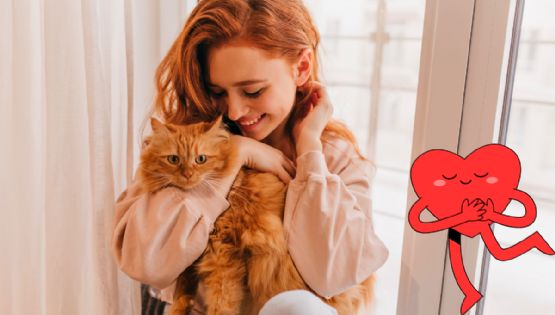 ¿El ronroneo de un gato puede mejorar la salud? Especialistas revelan sus beneficios
