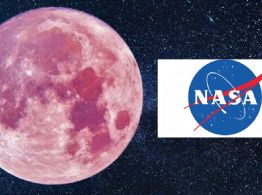 Luna Rosa 2026: ¿Cómo afecta la vida en la Tierra? La ciencia responde