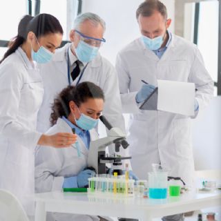 Científicos reactivan “células zombis” y abren nuevas puertas en la biología