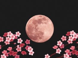 Luna Rosa 2026: ¿Cuándo verla en abril desde México y por qué se llama así?