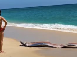 ¿Tercera Guerra Mundial? Aparición de pez del fin del mundo en México revive terrible augurio