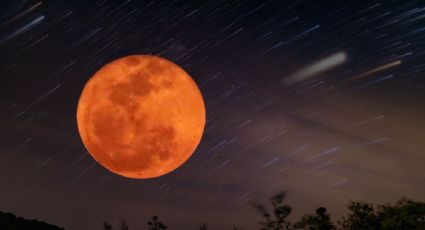Luna Rosa, lluvia de estrellas Líridas y más: eventos astronómicos de 2026 que no debes perderte