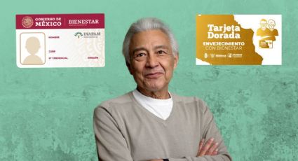 INAPAM vs Tarjeta Dorada: cuál te da más ahorro en transporte, comida y más en 2026