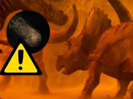 3I/ATLAS: inquieta su masa comparable a la del asteroide que extinguió a los dinosaurios