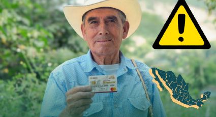 Bienestar confirma apoyo de hasta 24 mil pesos: conoce requisitos y estados beneficiados