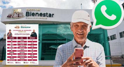 Pensión Bienestar: WhatsApp tiene la clave para recibir el calendario de pagos GRATIS cada bimestre
