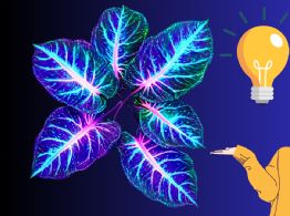 ¿Mejor que en Avatar? La planta china que promete iluminar ciudades sin electricidad