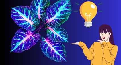 ¿Mejor que en Avatar? La planta china que promete iluminar ciudades sin electricidad