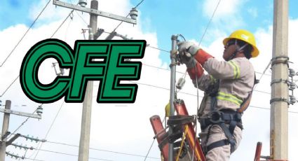 CFE cancela contratos de luz: Estos son los motivos del corte de suministro