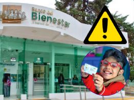 Secretaría de Bienestar comparte importante aviso para personas con discapacidad