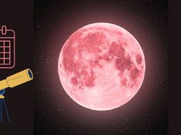 Luna de Fresa 2026 está por llegar: descubre cuándo y dónde verla en México