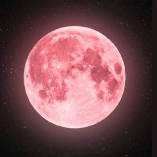 La Luna de Fresa 2026 está por llegar: descubre cuándo y dónde verla en México