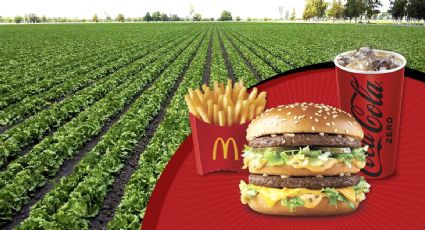McDonald’s lleva el sabor del campo mexicano a la cancha mundialista