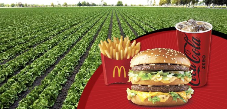 McDonald’s lleva el sabor del campo mexicano a la cancha mundialista